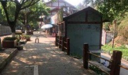 乐山海棠社区最新爆料,揭秘社区发展新动态