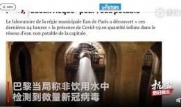 法国新冠病毒最新爆料,疫情反弹与防疫挑战并存