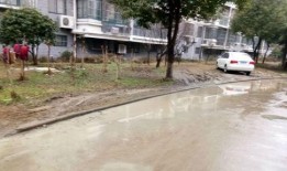 农民小区最新爆料,揭秘小区发展背后的故事