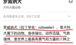 崇州直播爆料案件最新情况,案情揭秘与进展梳理