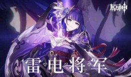 原神将军爆料视频大全最新,揭秘游戏幕后故事与精彩瞬间