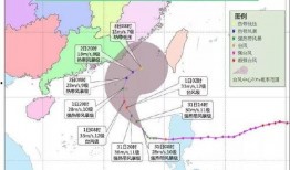 海丰市最新爆料消息公布