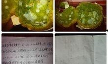 星动元祖最新爆料,揭秘明星幕后故事与精彩瞬间