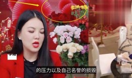 名星最新爆料视频,最新爆料视频深度解析