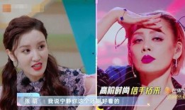 宁静最新爆料消息,揭秘娱乐圈不为人知的幕后真相