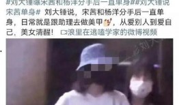 刘大锤最新爆料恋情视频,甜蜜互动引网友热议