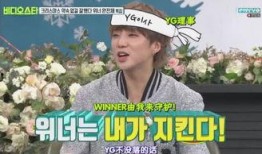 社长最新爆料消息,最新爆料背后的惊人真相