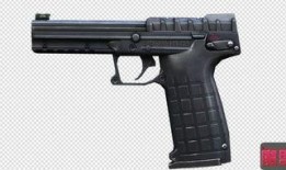 最新爆料的武器是什么枪,神秘新型枪械震撼登场