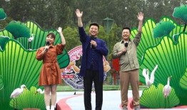 小寒最新爆料新闻报道视频,最新爆料新闻报道视频深度解析