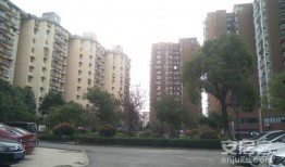 龙游龙湖湾小区最新爆料,揭秘神秘项目与周边发展动态