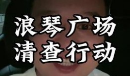 重庆刘先生最新爆料,揭秘某事件背后惊人真相