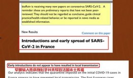 法国新冠病毒最新爆料,疫情反弹与防疫挑战并存