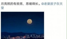 林先生最新爆料,揭秘娱乐圈惊人内幕