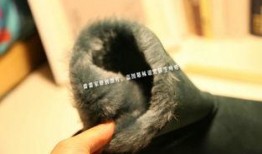 最新羊毛爆料是真的吗,揭秘真实性与可靠性