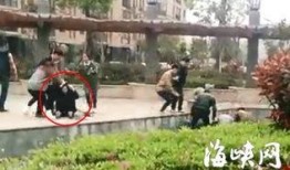 闽侯上街爆料事件最新,最新事件追踪，真相渐明